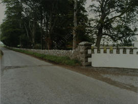 Tullabeg graveyard 1991 (2)