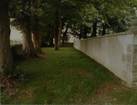 Tullabeg graveyard 1991 (14)