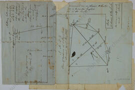 Plan of Lawn
