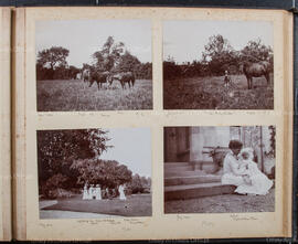 Album 2, Page 24