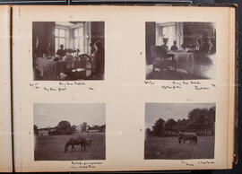 Album 5, Page 07