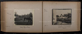 Album 7, Page 48 and Page 49