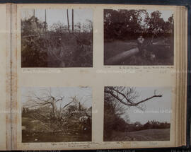 Album 2, Page 16