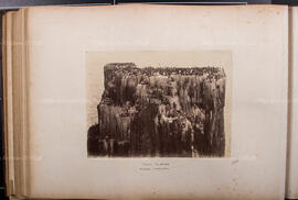 Album 13, Page 29