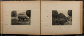 Album 7, Page 08 and Page 09