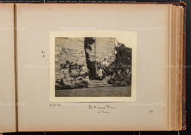 Album 11, Page 13
