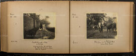 Album 7, Page 44 and Page 45