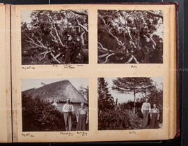 Album 4, Page 07