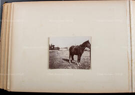 Album 1, Page 54
