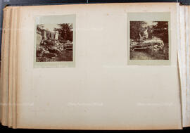 Album 1, Page 49