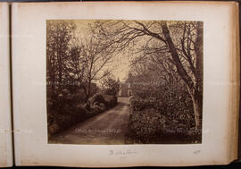 Album 13, Page 23
