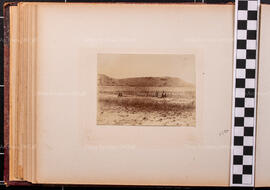 Album 11, Page 17