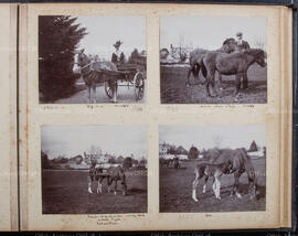 Album 2, Page 22