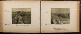 Album 7, Page 30 and Page 31