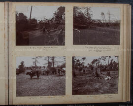Album 2, Page 19