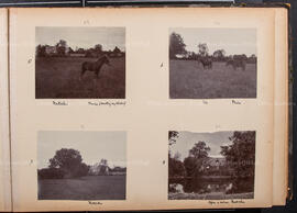 Album 5, Page 08