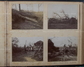 Album 2, Page 14