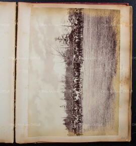 Album 12, Page 39