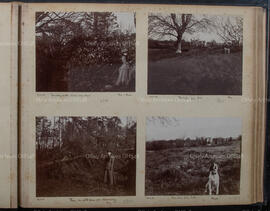 Album 2, Page 17