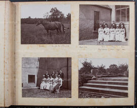 Album 2, Page 03